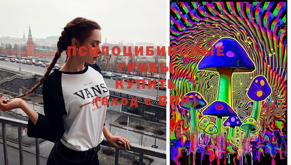 СК Балахна