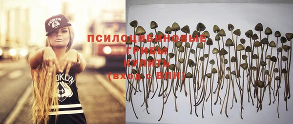 каннабис Баксан
