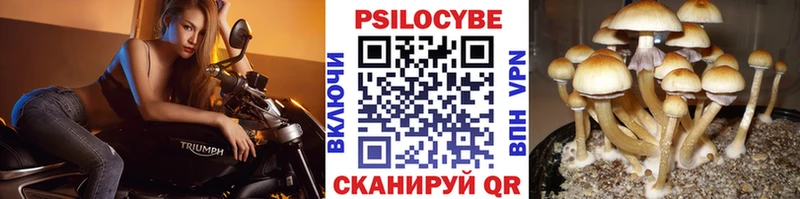 Купить закладки  Аткарск  Галлюциногенные грибы MAGIC MUSHROOMS 